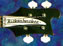 1976 RickenBacker 4001S